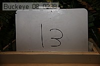 buckeye_08_0238 proof