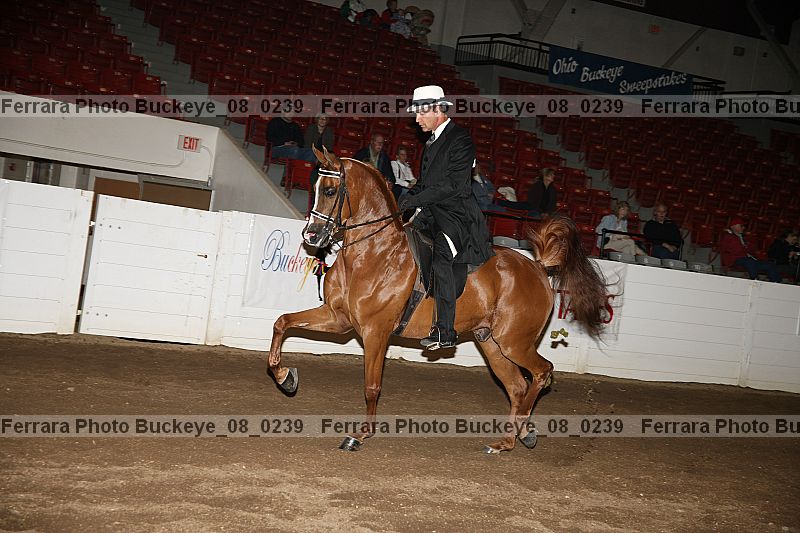 Proof buckeye_08_0239