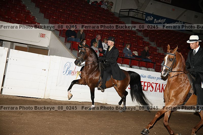 Proof buckeye_08_0245