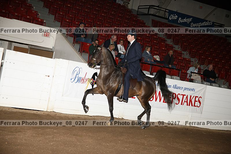 Proof buckeye_08_0247
