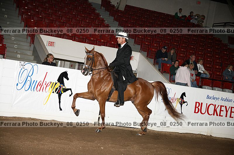 Proof buckeye_08_0250