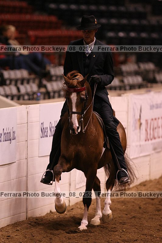 Proof buckeye_08_0252