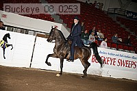 buckeye_08_0253 proof