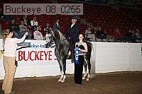 buckeye_08_0255 proof