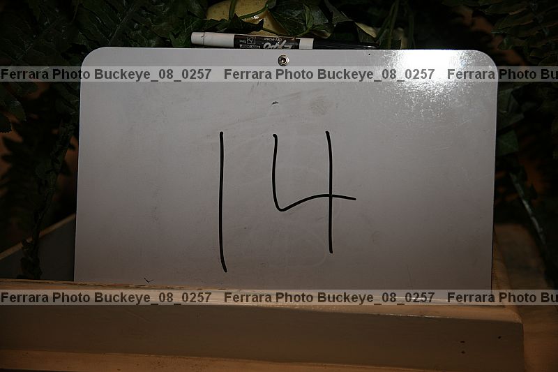 Proof buckeye_08_0257