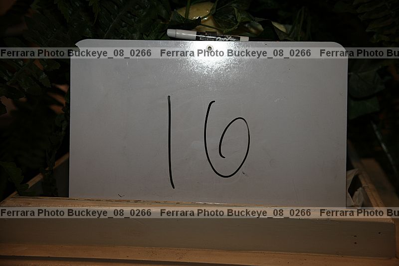 Proof buckeye_08_0266