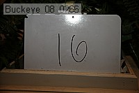 buckeye_08_0266 proof