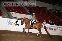 buckeye_08_0272 proof