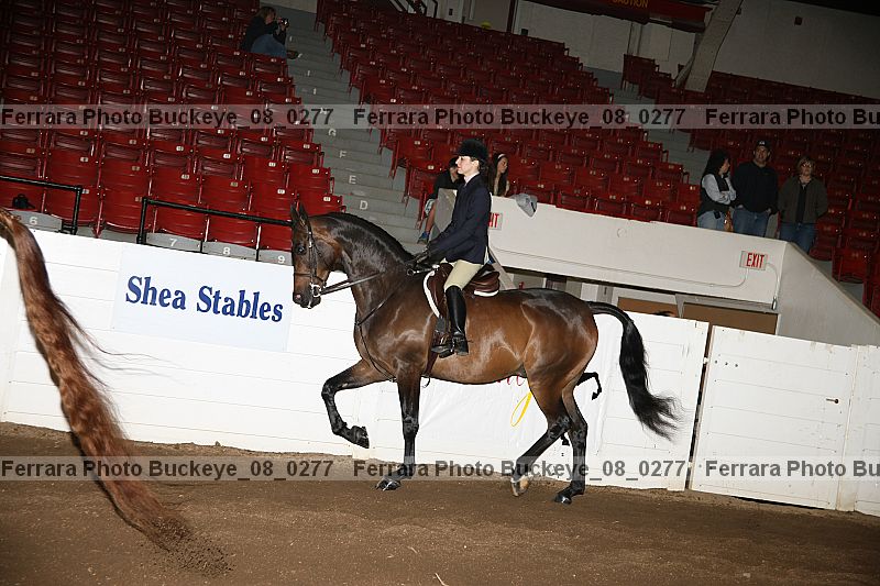 Proof buckeye_08_0277
