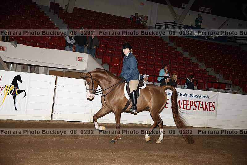 Proof buckeye_08_0282
