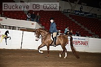 buckeye_08_0282 proof