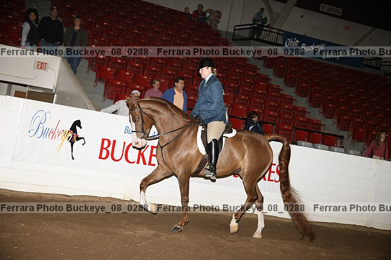 Proof buckeye_08_0288