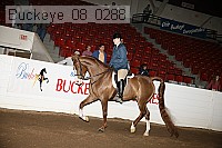 buckeye_08_0288 proof