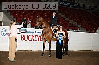 buckeye_08_0289 proof