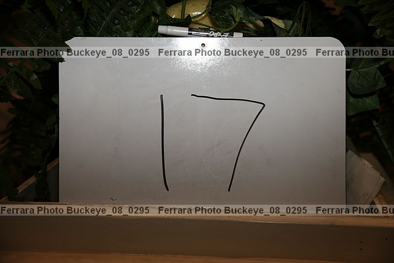 Proof buckeye_08_0295