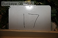 buckeye_08_0295 proof