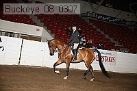 buckeye_08_0307 proof