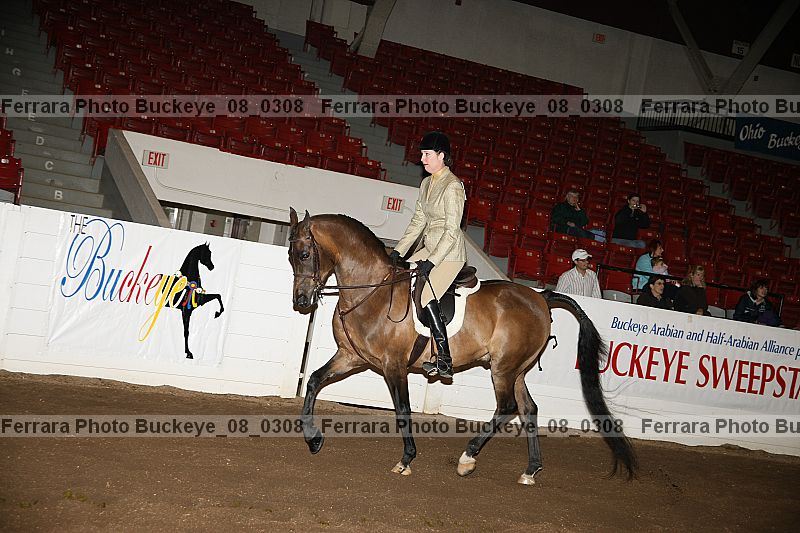 Proof buckeye_08_0308