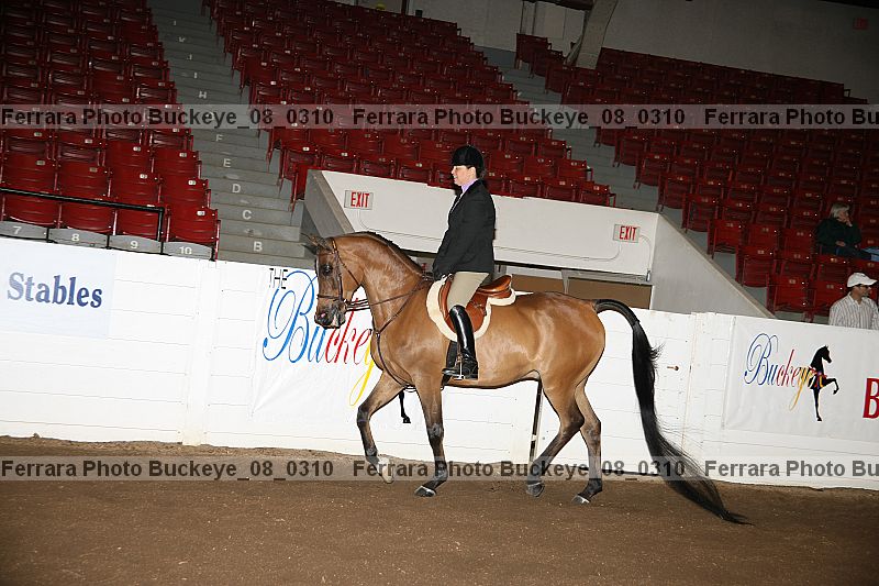 Proof buckeye_08_0310