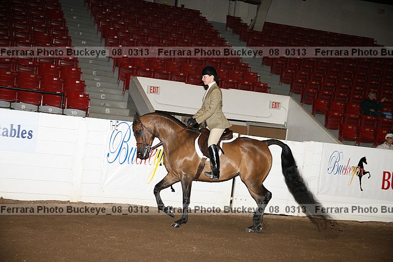 Proof buckeye_08_0313