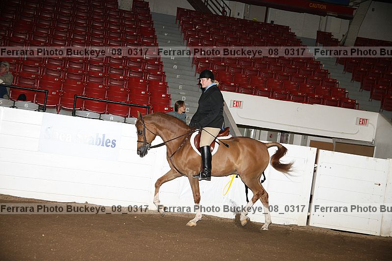Proof buckeye_08_0317