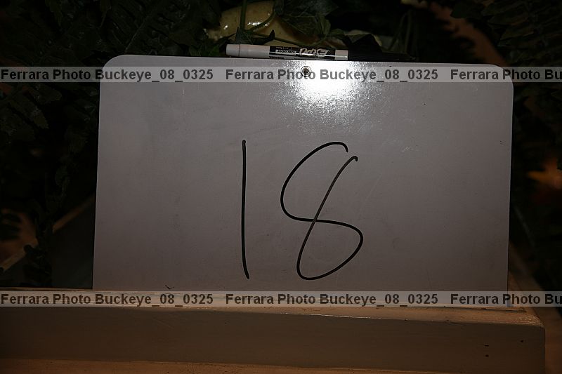 Proof buckeye_08_0325