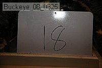 buckeye_08_0325 proof