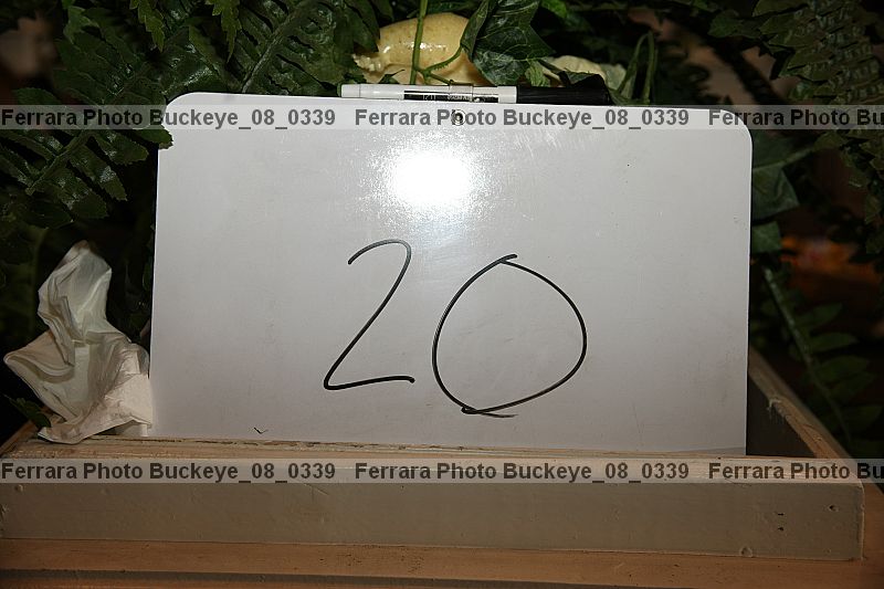 Proof buckeye_08_0339