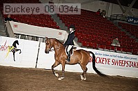 buckeye_08_0344 proof