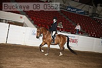 buckeye_08_0352 proof