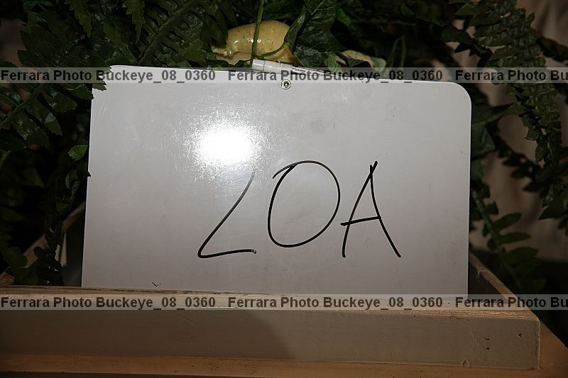 Proof buckeye_08_0360