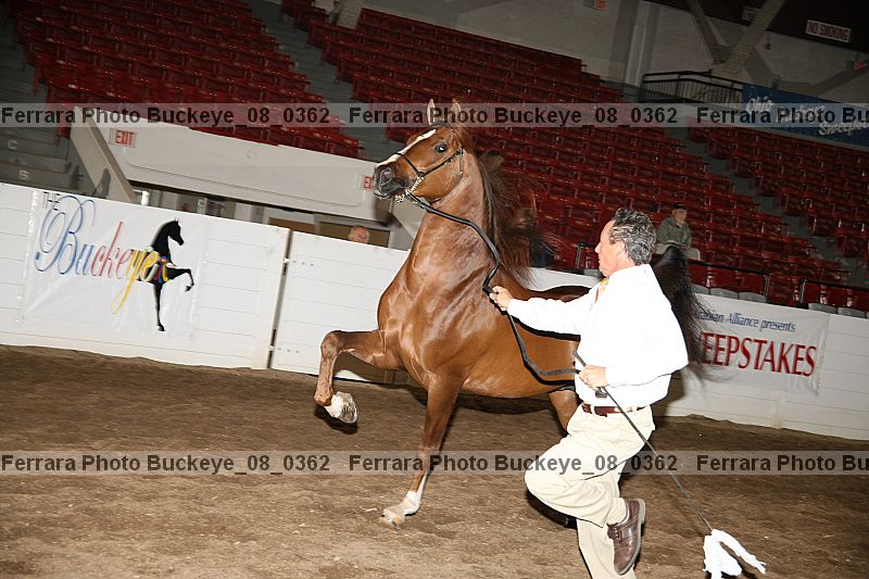 Proof buckeye_08_0362