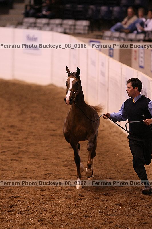 Proof buckeye_08_0366