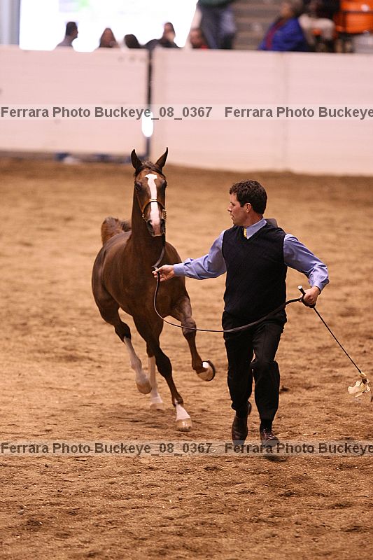 Proof buckeye_08_0367
