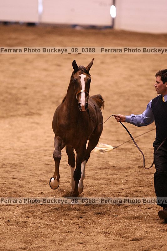 Proof buckeye_08_0368