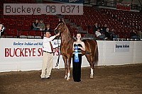 buckeye_08_0371 proof