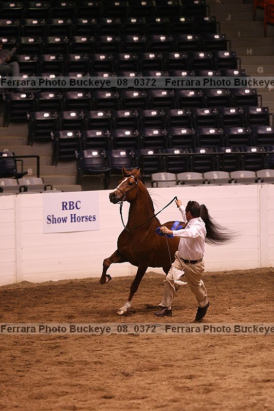 Proof buckeye_08_0372