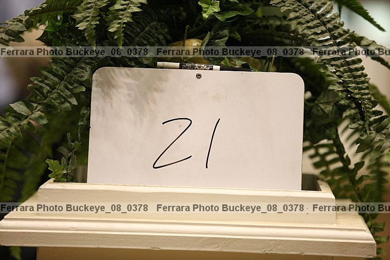 Proof buckeye_08_0378