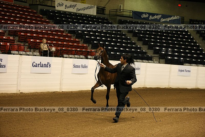 Proof buckeye_08_0380