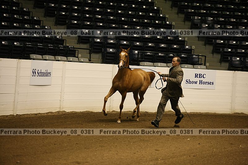 Proof buckeye_08_0381