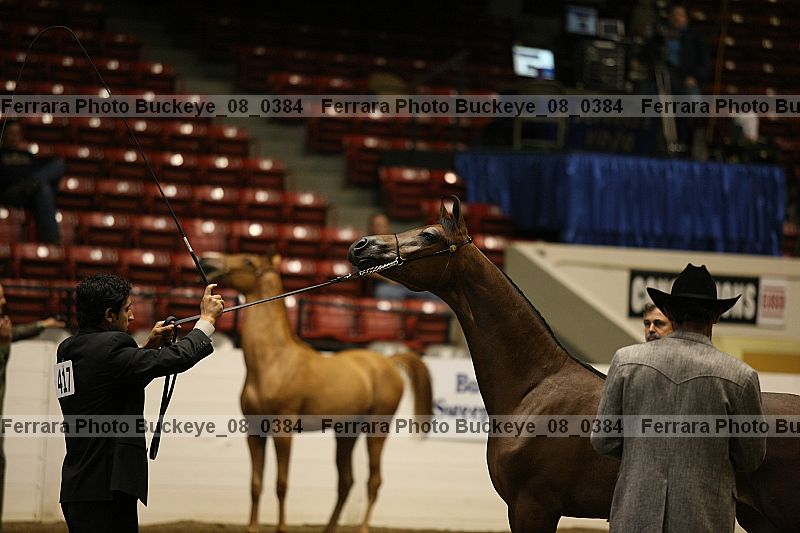 Proof buckeye_08_0384