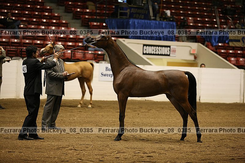 Proof buckeye_08_0385