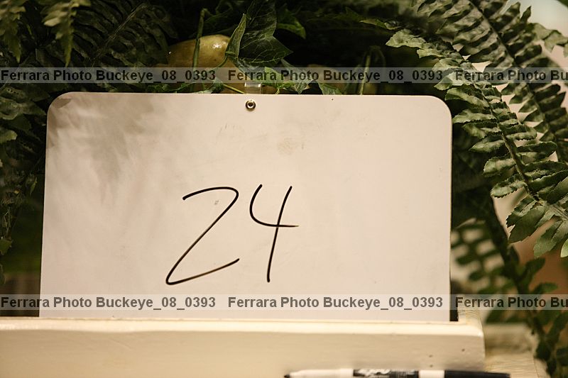 Proof buckeye_08_0393