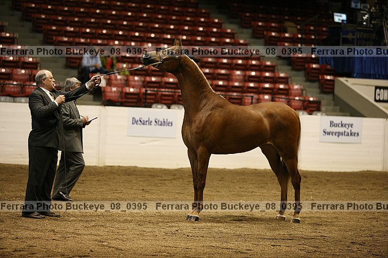 Proof buckeye_08_0395