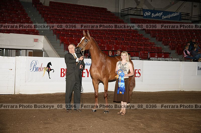 Proof buckeye_08_0396