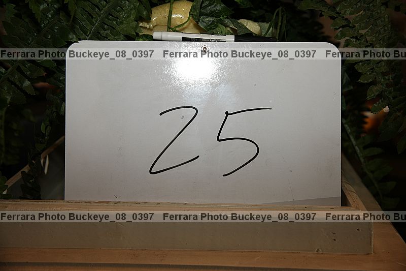 Proof buckeye_08_0397