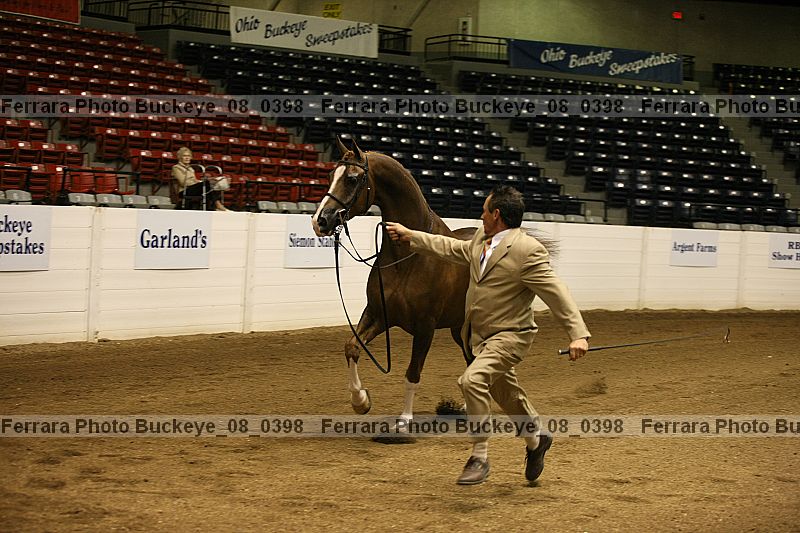 Proof buckeye_08_0398