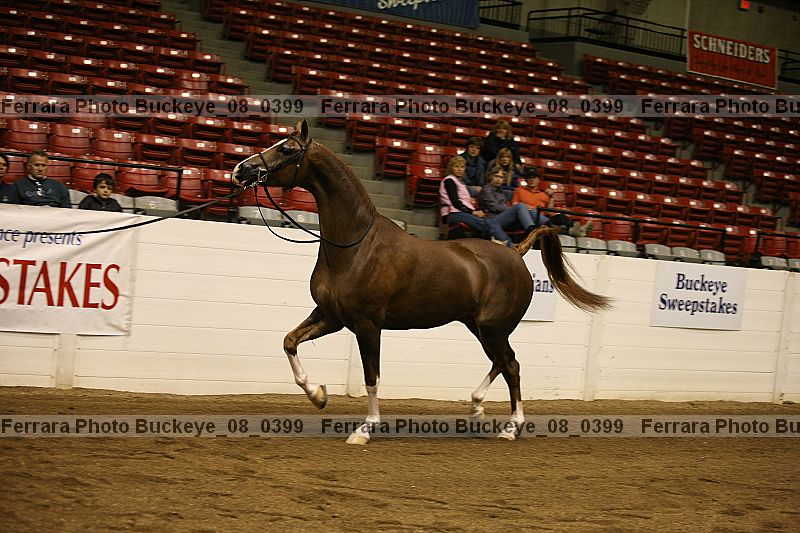 Proof buckeye_08_0399
