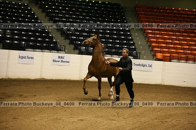 Proof buckeye_08_0400