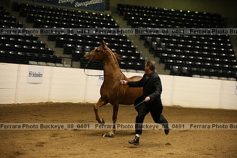 Proof buckeye_08_0401